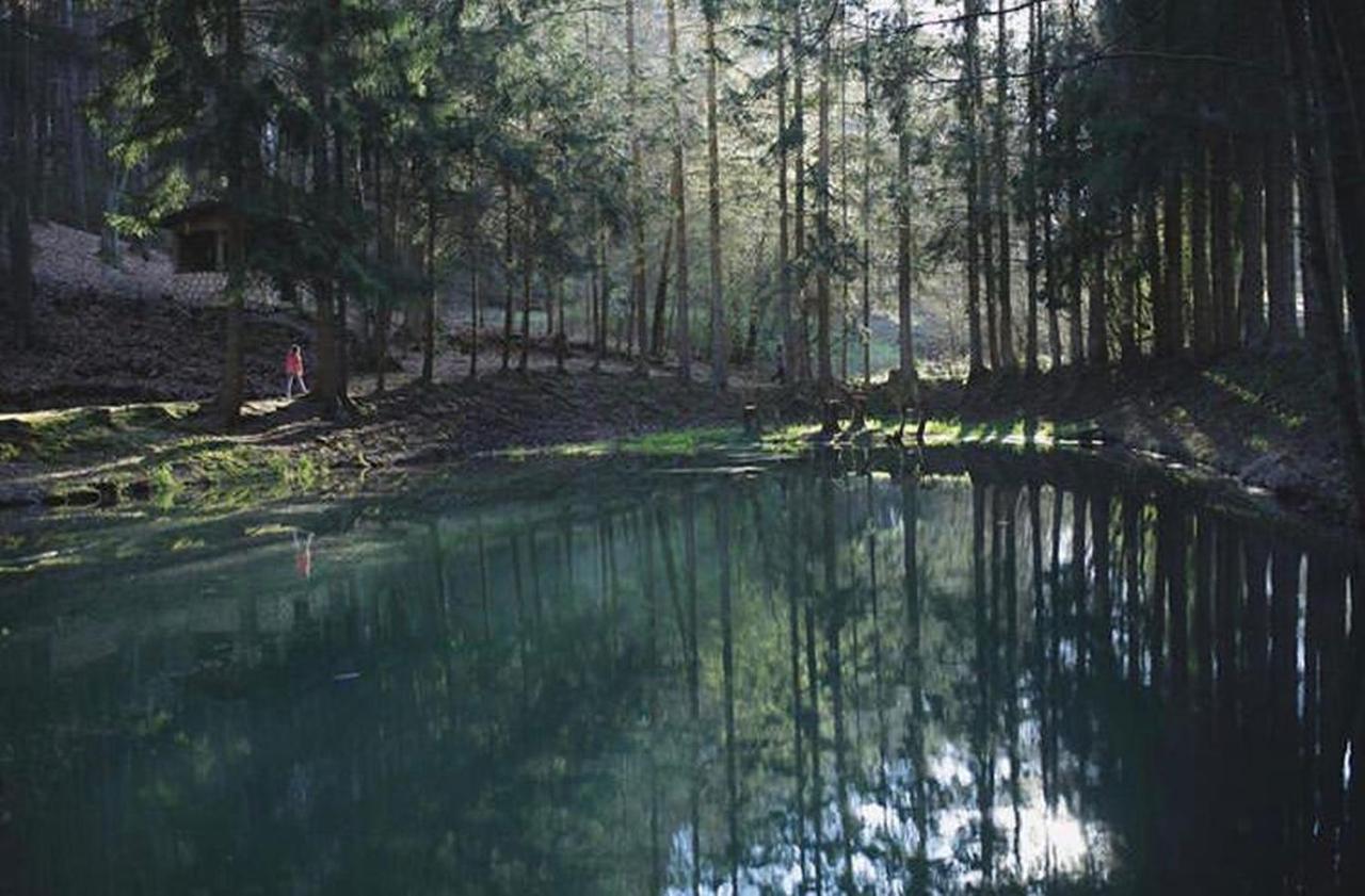 Ferienhaus "Schmetterling" Am See Im Bergland Kirchheim  Ngoại thất bức ảnh